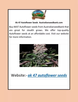 Ak 47 Autoflower Seeds | Australianseedbank.com