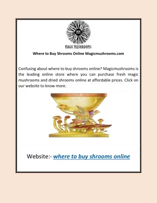 Where to Buy Shrooms Online | Magicmushrooms.com