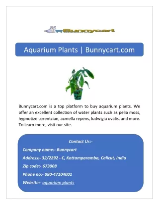 Aquarium Plants | Bunnycart.com