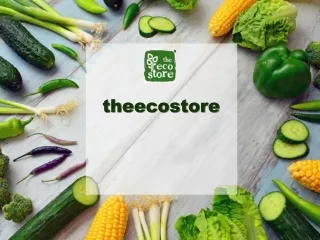 theecostore