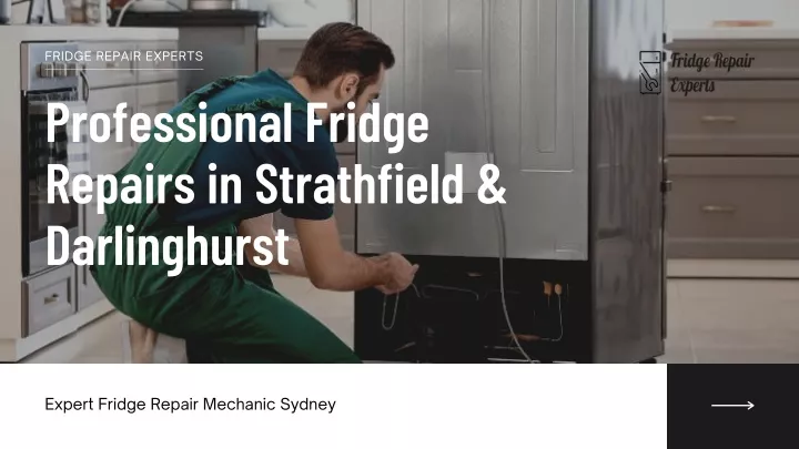 fridge repair experts