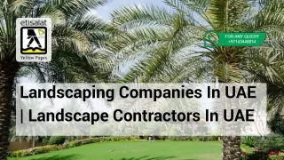 Landscaping Companies In UAE | Landscape Contractors In UAE