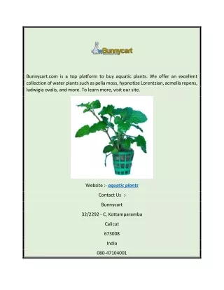 Aquatic Plants Bunnycart.com