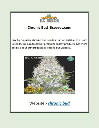 chronic bud bcseeds com