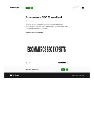 Ecommerce SEO Consultant