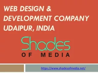 IT Companies in Udaipur