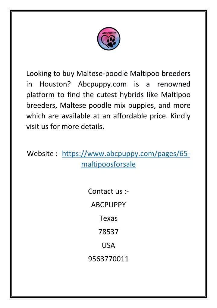 looking to buy maltese poodle maltipoo breeders