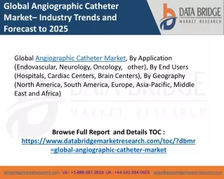 Global Angiographic Catheter Market