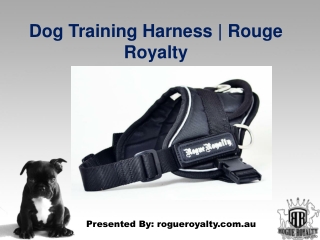 dog training harness - Rouge-Royalty