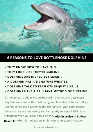 6 REASONS TO LOVE BOTTLENOSE DOLPHINS
