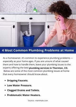 4 Most Common Plumbing Problems at Home