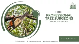 Hire Professional Tree Surgeons Before It Is Too Late