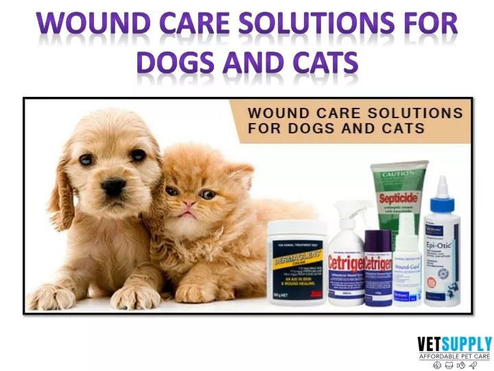 wound care solutions for dogs and cats