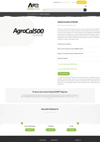 contact us