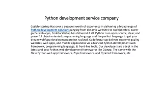 Python development service company