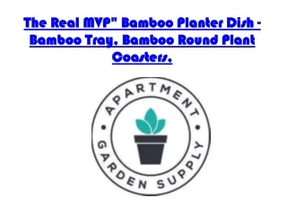 The Real MVP Bamboo Planter Dish - Bamboo Tray - Bamboo Round Plant Coasters