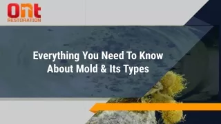 TYPES OF MOLD IN HOMES