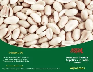 Blanched Peanuts Suppliers in India