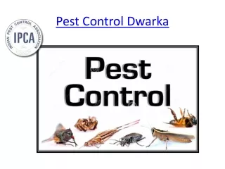 Pest Control Dwarka