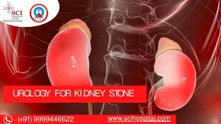 Kidney stone specialist in delhi