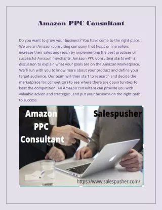 amazon ppc consultant