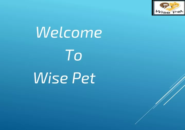 welcome to wise pet