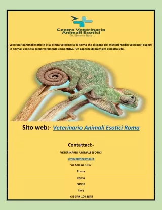 I migliori veterinari specializzati in animali esotici a Roma