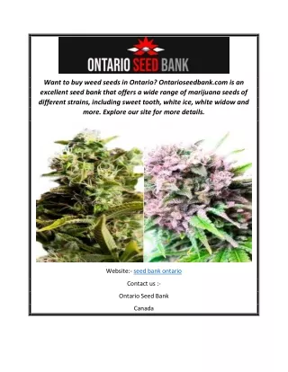 Seed Bank Ontario Ontarioseedbank.com