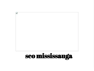 seo mississauga