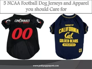 5 NCAA Football Dog Jerseys and Apparel you should Care for