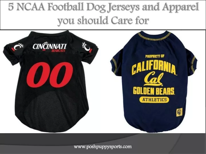 5 ncaa football dog jerseys and apparel