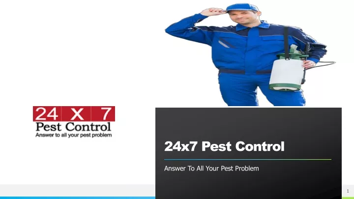 24x7 pest control