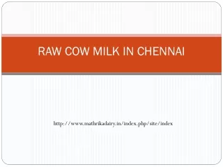 RAW COW MILK IN CHENNAI
