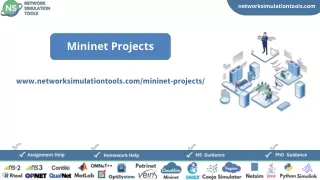 Research Ideas in Mininet Projects With Source Code