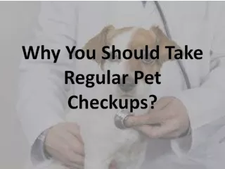 why you should take regular pet checkups