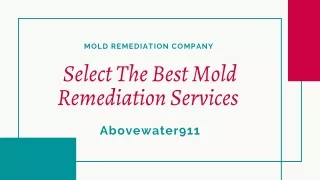 Choose The Best Mold Remediation Services - Abovewater911