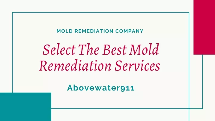 mold remediation company select the best mold