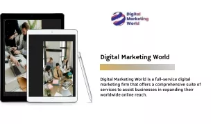 digital marketing world