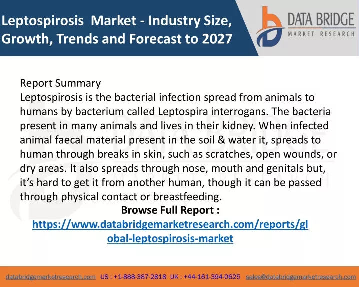 leptospirosis market industry size growth trends