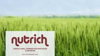 agricultural commodities processor exporter