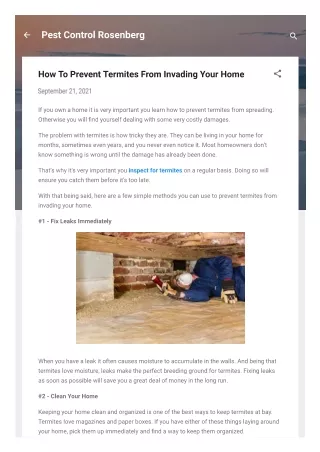 Rosenberg termite treatment