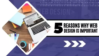 5 Reasons Why Web Design is Important