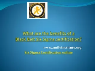 What are the benefits of a Black Belt Six Sigma certification -Amile Institute