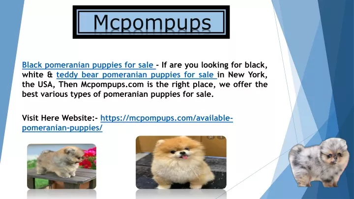 mcpompups