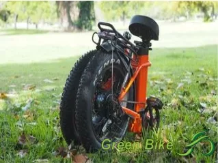 Electric bike Florida