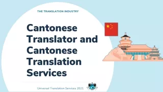 the translation industry