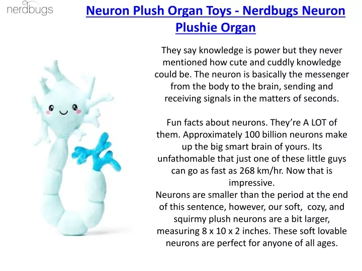 neuron plush organ toys nerdbugs neuron plushie