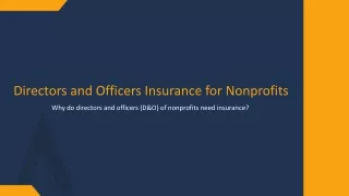 Directors and Officers Insurance for Nonprofits​