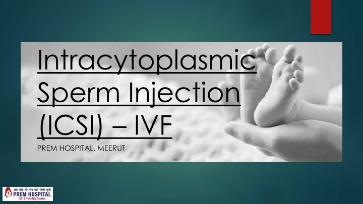 intracytoplasmic sperm injection icsi ivf