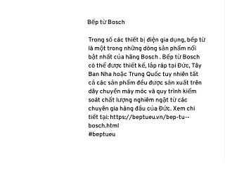 b p t bosch